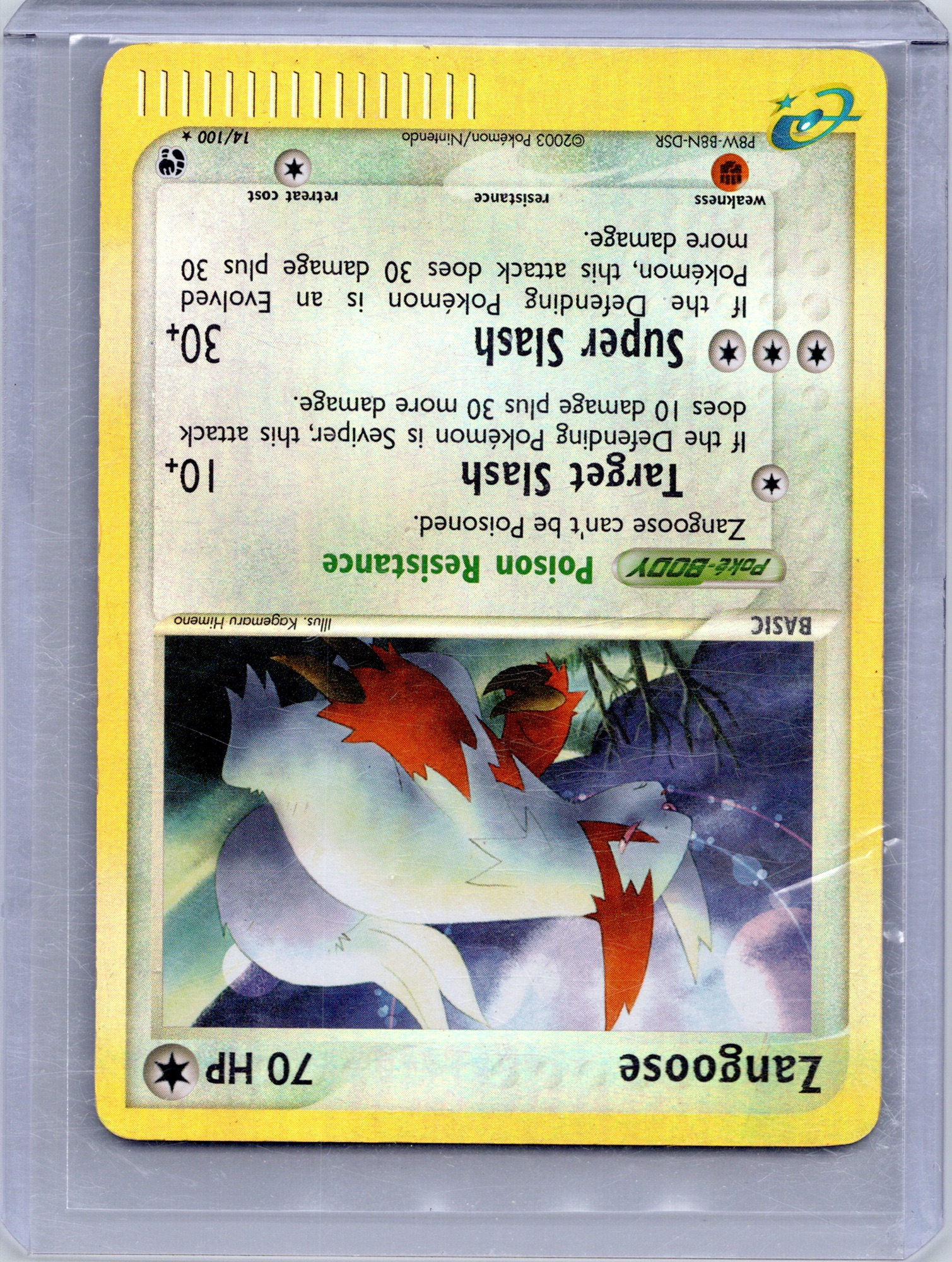 Zangoose #14/100 Holo Mint