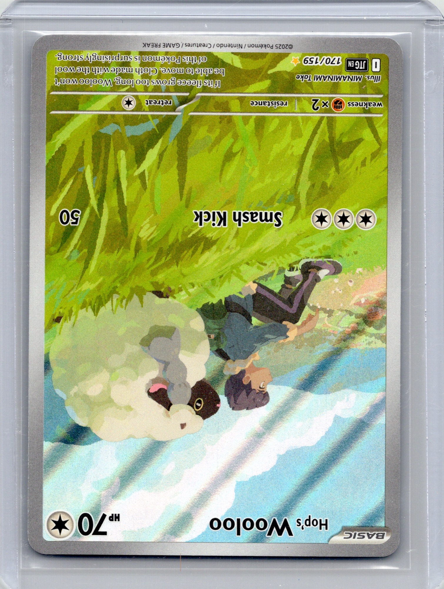 Hop's Wooloo #170/159 (IR) Holo Mint